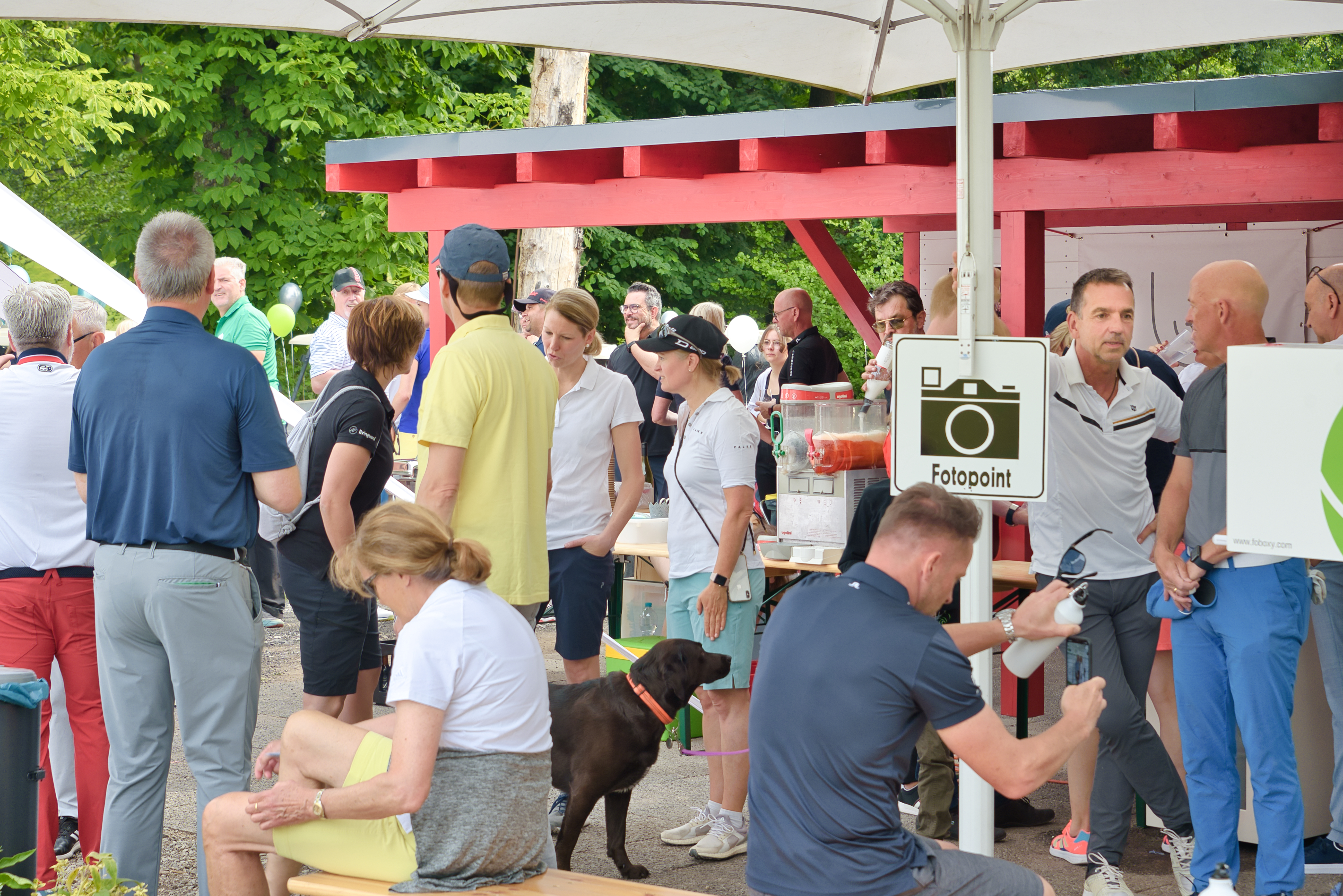 Foto 35